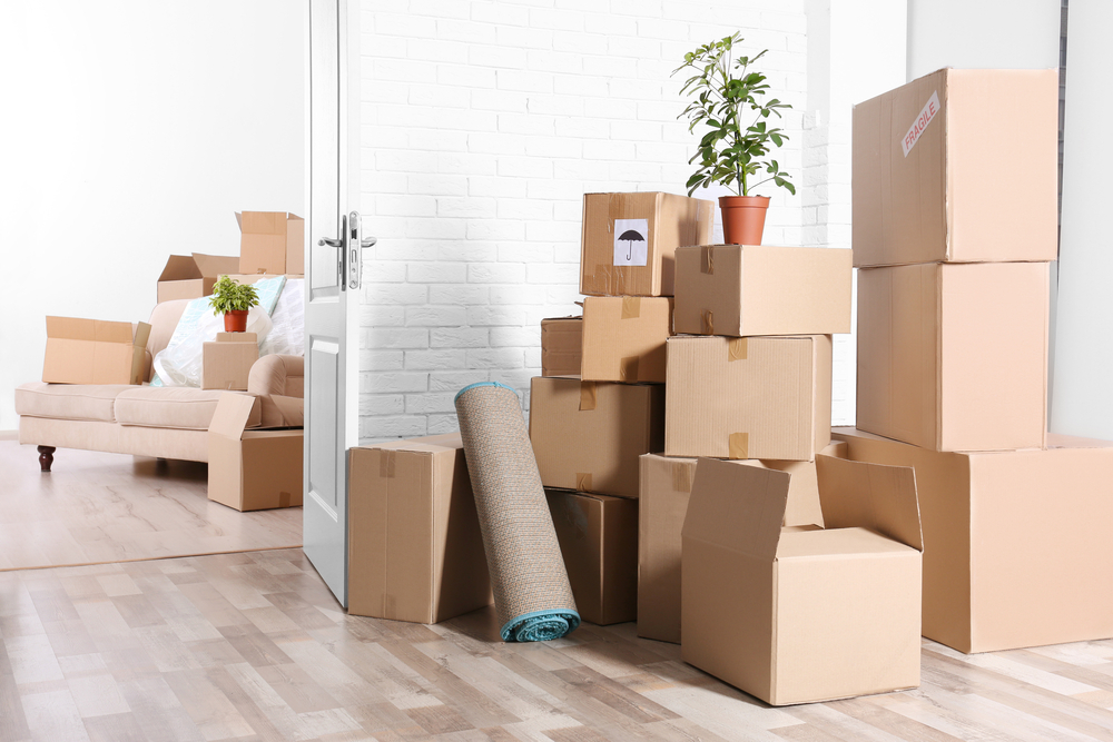 movers removalists queanbeyan