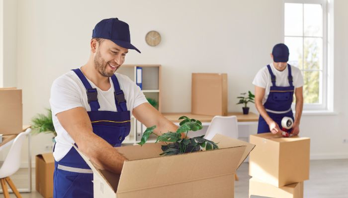 Movers Removalists Woden Valley