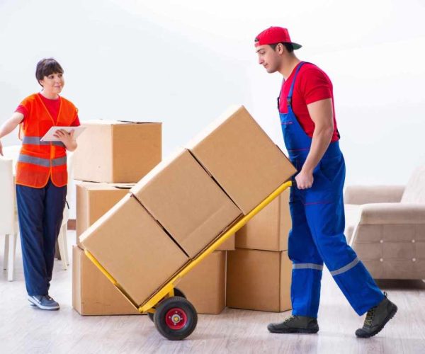 Epic-Mover--Trusted-Canberra-Removalists-Movers01-scaled1