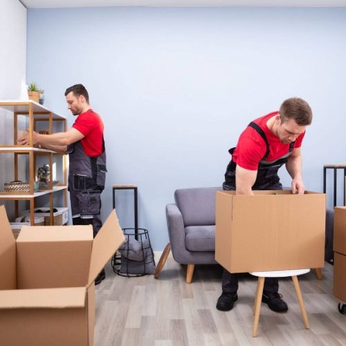 Expert Packing for Every Item movers and packers