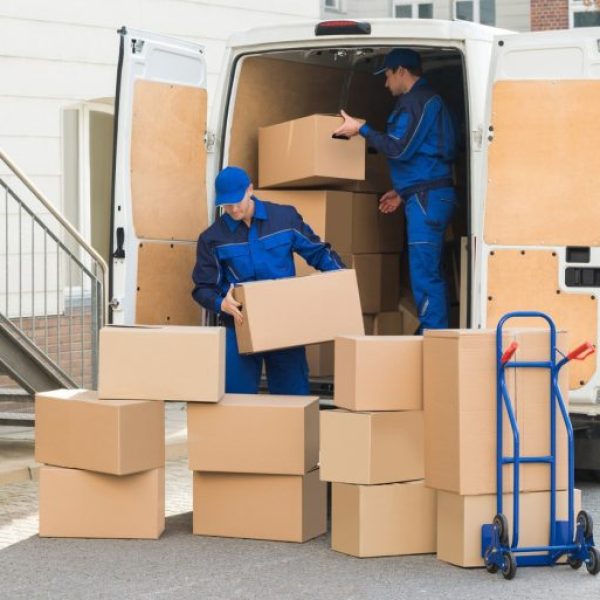 Why 5000+ Families Choose Epic Movers For Braidwood Removals